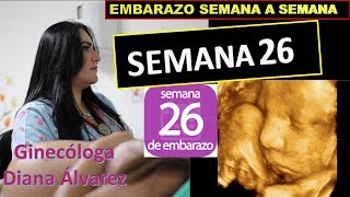 SEMANA 26 EMBARAZO SEMANA A SEMANA POR GINECOLOGA DIANA ALVAREZ [upl. by Annoirb561]