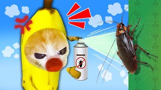 Banana Cats Epic Struggle Against The Scary Cockroach 🐱 Baby Banana Cat Compilation  Cat MEME 😿 [upl. by Boot]