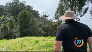 En estos árboles encontramos Quetzales como en ningún otro [upl. by Ojadnama]