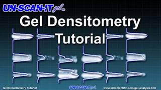 Gel Densitometry Tutorial [upl. by Zobkiw]