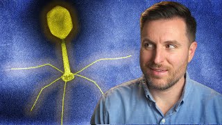 The History of Phage Therapy [upl. by Niloc]