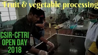 Fruit and Vegetable Processing CSIRCFTRI [upl. by Jarus]