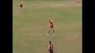 2010 SANFL Round 10 Glenelg v Port [upl. by Astrahan389]