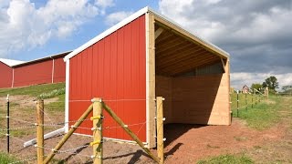 DIY Building Lean Barn Shelter for Horses or Cattle [upl. by Silberman353]