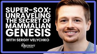 Sergiy Velychko  SuperSOX Unraveling The Secret of Mammalian Genesis [upl. by Janetta]