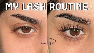 How I keep my straight lashes curled ALL DAY Includes my tiktok viral curling method [upl. by Nnayrb974]