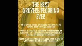 Gruyere amp Pecorino Cheesesmp4 [upl. by Chaddy]