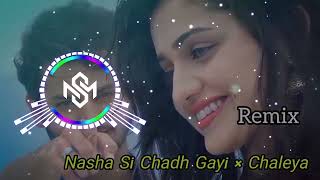 Nasha Si Chadh Gayi × Chaleya  Mashup  DURemix [upl. by Rudin]