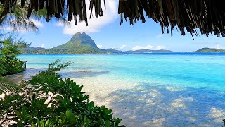 Beach View 3 Hours of Bora Bora Ambience amp Soft Ocean Sounds [upl. by Steele]