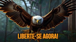 Libertese Descubra o Poder de Dizer Não como a Aguia  MOTIVACIONAL 001 [upl. by Enhpad980]