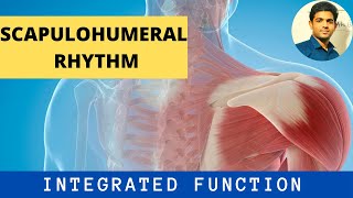 SCAPULOHUMERAL RHYTHM INTEGRATED FUNCTION AT SHOULDER COMPLEX Part1 [upl. by Lawford984]