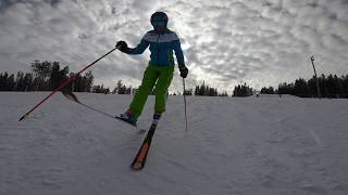 DEMO Team Slovenia  Ski instructor level U3 [upl. by Durman]