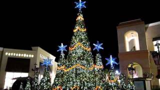 Wiregrass Mall  Symphony in Lights  December 31st 2011 [upl. by Darb]