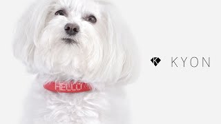 KYON The Pet Collar Reinvented [upl. by Dotty]