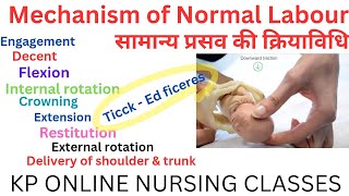 Mechanism of normal labour  सामान्य प्रसव की क्रियाविधि  Nursing  anmgnm amp bsc nursing [upl. by Ahsinned153]