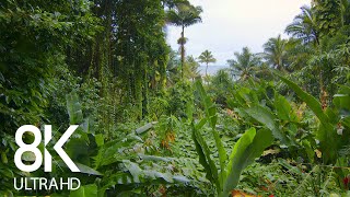 Incredible Jungle Sounds 8K  Exotic Birds Singing in Tropical Rainforest 8 HOURS  Part 1 [upl. by Atinuaj]