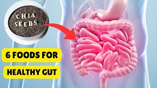 6 Foods That Transform Your Gut Health [upl. by Deborah]