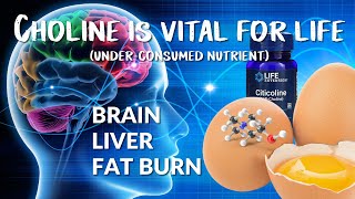 Choline health benefits choline is an essential nutrient Liver and brain health Fat burning [upl. by Daht]