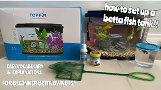 HOW TO SET UP A BETTA FISH TANK  PROPERLY for beginners [upl. by Matheny]