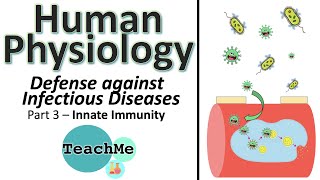 63  INNATE nonspecific immunity  Immune system PART3  IB Biology  TeachMe [upl. by Naujud633]