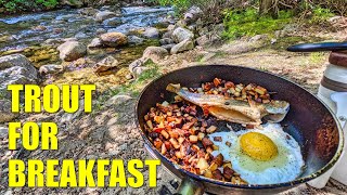 Trout For Breakfast Small Stream Catch and Cook [upl. by Tyika]