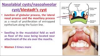 ORALPATH CHAP3 PART 3 ODONTOGENIC CYSTS AND TUMOURSENGLISH [upl. by Neelon497]