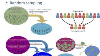 Sampling in Quantitative Research [upl. by Inej]