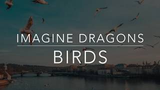 Imagine Dragons  Birds LyricsTraduçãoLegendadoHQ [upl. by Marutani]