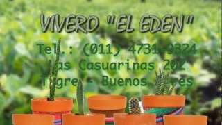 VIVERO EL EDEN  VENTA DE PLANTAS  MACETAS Y ACCESORIOS [upl. by Hpotsirhc]