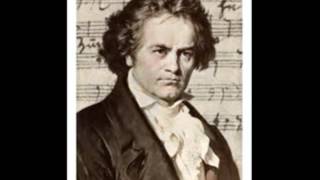 Beethoven  Symphony No 3 in E flat major Op 55 Eroica Berliner Philharmoniker [upl. by Hacker]