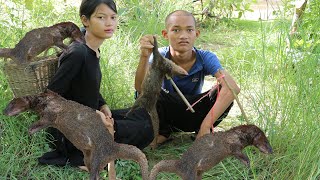 Easy trap catch Mongoose [upl. by Hardin281]