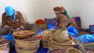 Afous Argan Oil Extraction and Production  Essaouira  Morocco [upl. by Cower]