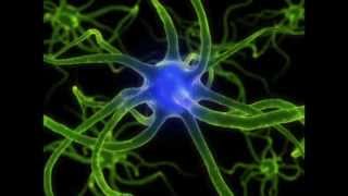 ★ Nerve Regeneration ★ Binaural Beats  Isochronic Tones ASMR [upl. by Nari]