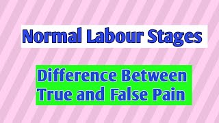 Normal Labour Stages । Labour Pain।Normal Labour lecture in Hindi [upl. by Reisfield]