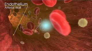 Red Blood Cell Animation  3D Medical Animation  DreamLightcom [upl. by Rolanda]