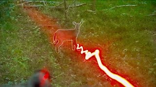 Crossbow Doe Kill with 3” Swhacker Broadhead 251 [upl. by Sauls]