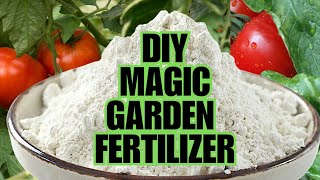 Magic Fertilizer For All Vegetables  100 Success Results [upl. by Alpert528]