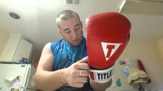 Review  Title Boxing Pro Style Leather Training Gloves [upl. by Yanahc]