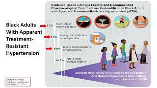 Advances in Hypertension 2024 Will New Drugs and Renal Nerve Denervation Eliminate Disparities [upl. by Hebrew]