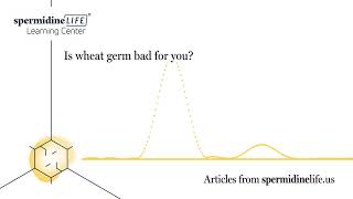 Is Wheat Germ Bad for You  Wheat Germ Benefits  Autophagy and Spermidine  Longevity Tips [upl. by Anyaj706]