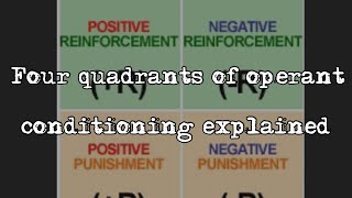 Four quadrants of operant conditioning explained  dog trainer knowledge [upl. by Ysdnyl958]