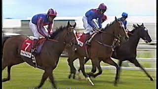 2003 Dante Stakes Magistretti Includes Replay [upl. by Suiratnauq693]