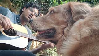 singing tune kaha by prateek kuhad to my retriever ❤️ [upl. by Leraj]