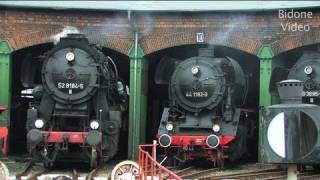 EisenbahnFest Staßfurt 12  Steam Train  Züge [upl. by Rosner223]