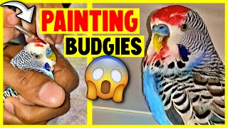 4 Terrible Things People did to their Budgies  Part 5 [upl. by Hsaka]