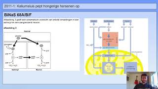 Examentraining vwo bio  3  Kaliumsluis pept hongerige hersenen op  2011 1  vr 13 tm 16 [upl. by Enelyaj]