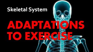 Adaptations to Exercise  Skeletal System 07  Anatomy amp Physiology [upl. by Annaicul]