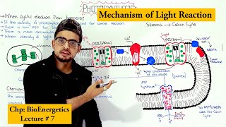 Non Cyclic and Cyclic Electron Flow  Z Scheme [upl. by Epul]