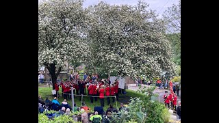 Whit Friday 2024 Dobcross Band Contest FULL playlist 70 bands Running order in description [upl. by Leslie]