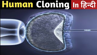 Human Cloning मानव क्लोनिंग in Hindi  How Cloning Works  ScienceGenome [upl. by Enelie]